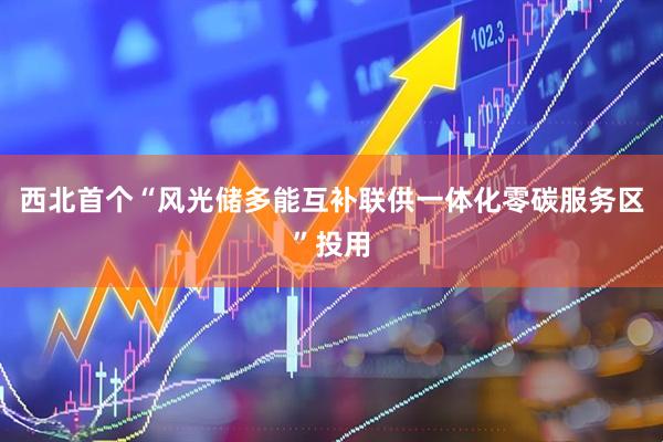 西北首个“风光储多能互补联供一体化零碳服务区”投用
