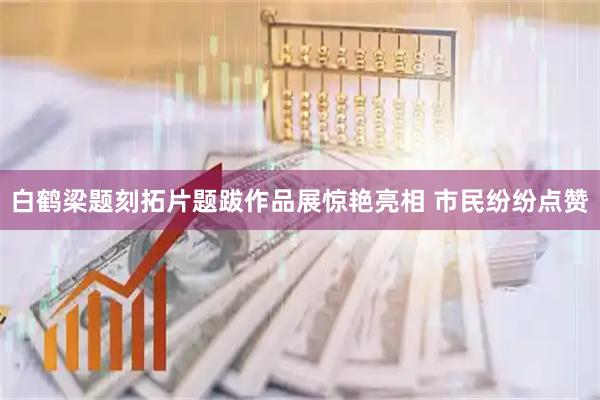 白鹤梁题刻拓片题跋作品展惊艳亮相 市民纷纷点赞