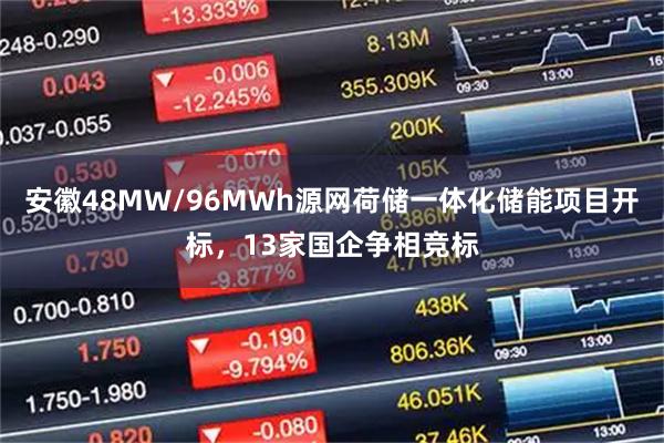 安徽48MW/96MWh源网荷储一体化储能项目开标，13家国企争相竞标