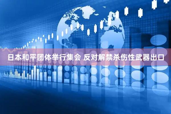 日本和平团体举行集会 反对解禁杀伤性武器出口