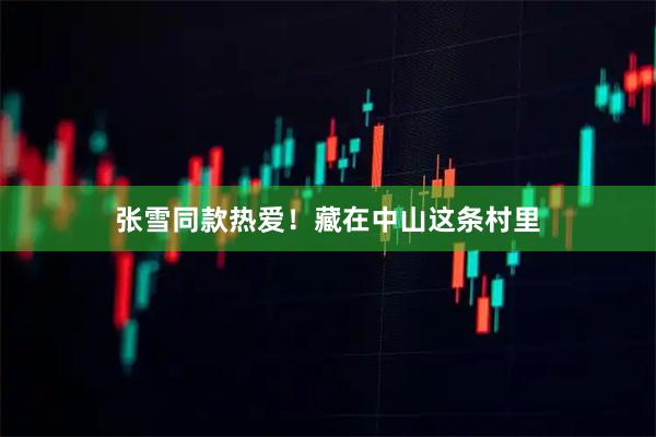 张雪同款热爱！藏在中山这条村里