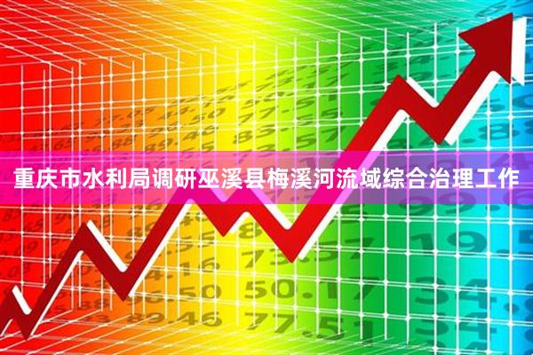 重庆市水利局调研巫溪县梅溪河流域综合治理工作