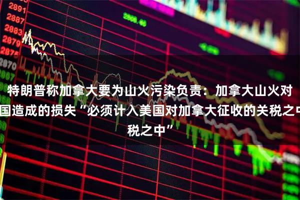 特朗普称加拿大要为山火污染负责:加拿大山火对美国造成的损失“必须计入美国对加拿大征收的关税之中”